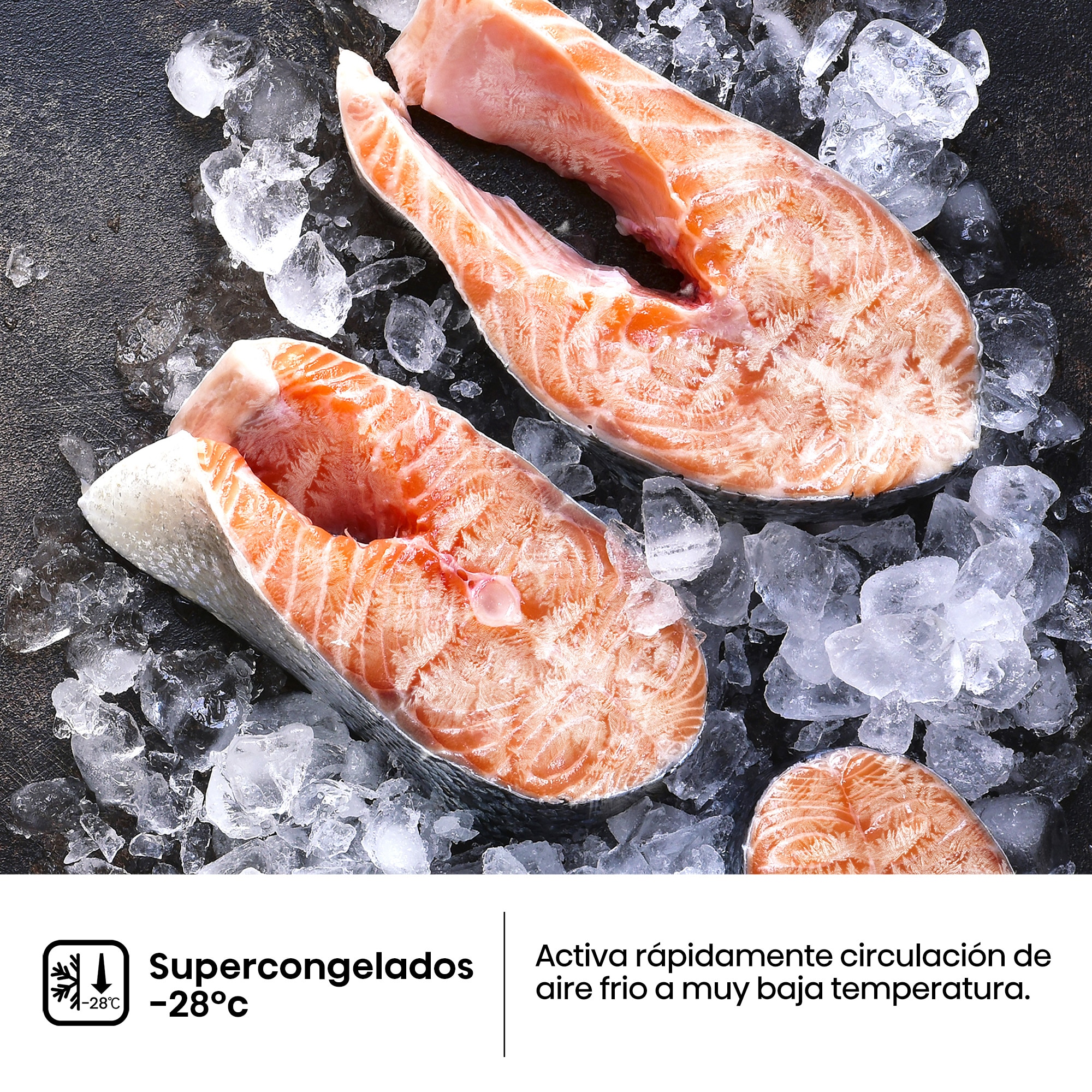 Frigorífico combi Hisense Total No Frost serie Kitchen FIT - RB3K330SAIC Inox-14