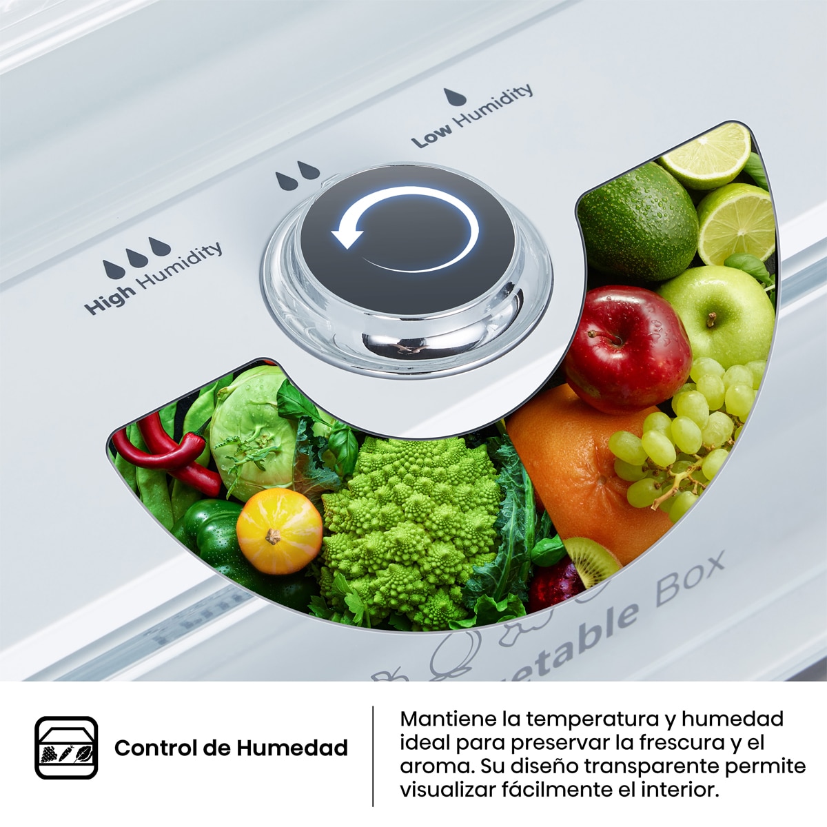 Frigorífico combi Hisense Total No Frost - RB645N4BIC - Inox Inox-8