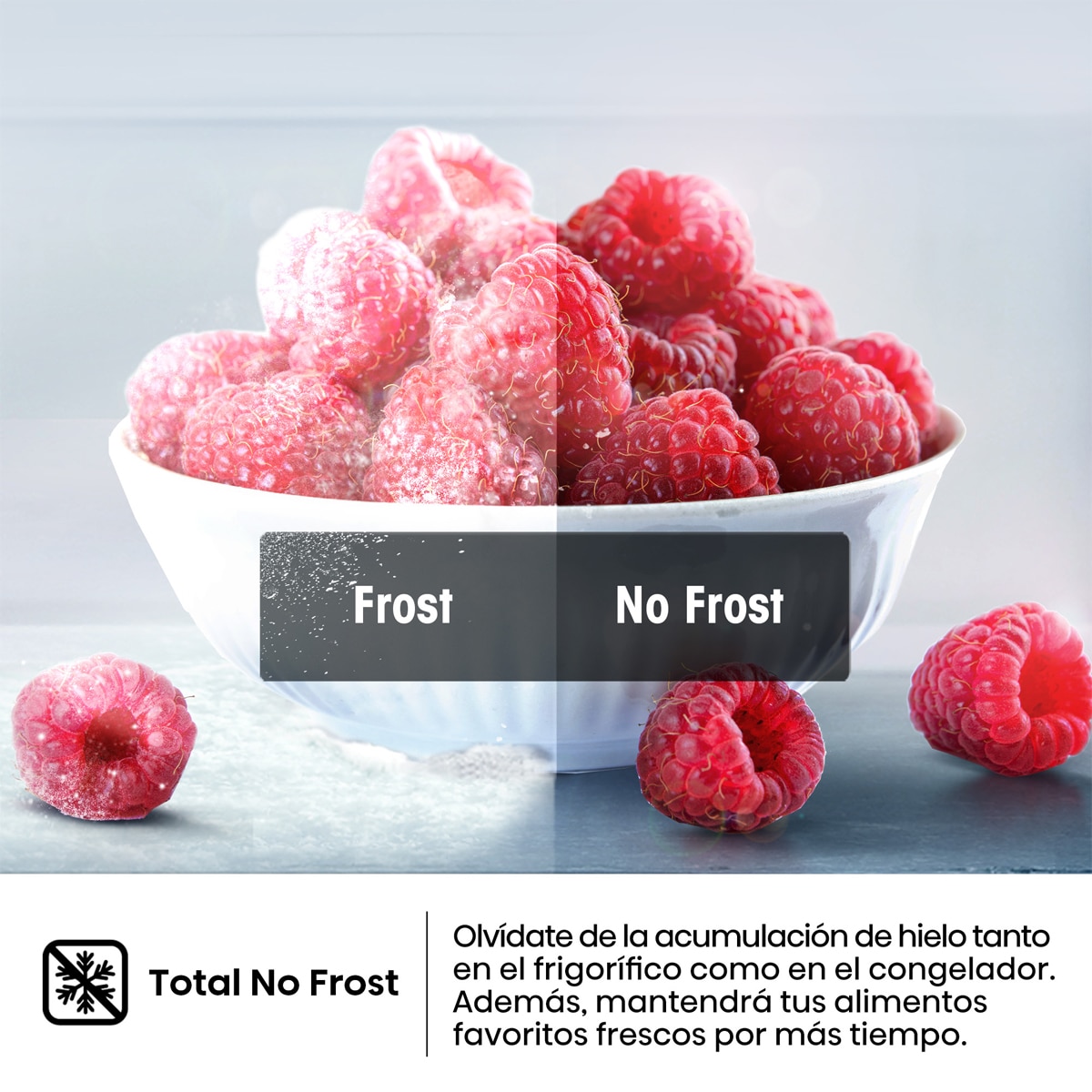 Frigorífico combi Hisense Total No Frost - RB645N4BIC - Inox Inox-9