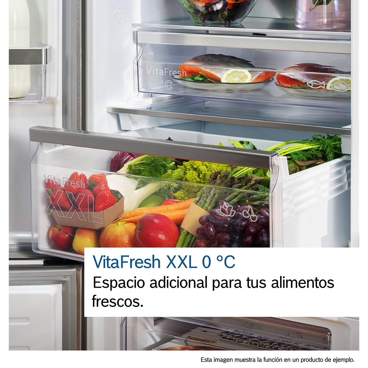 Frigorífico Combi Bosch, Total No Frost, 203 x 60cm - KGN392I1F Acero antihuellas-11