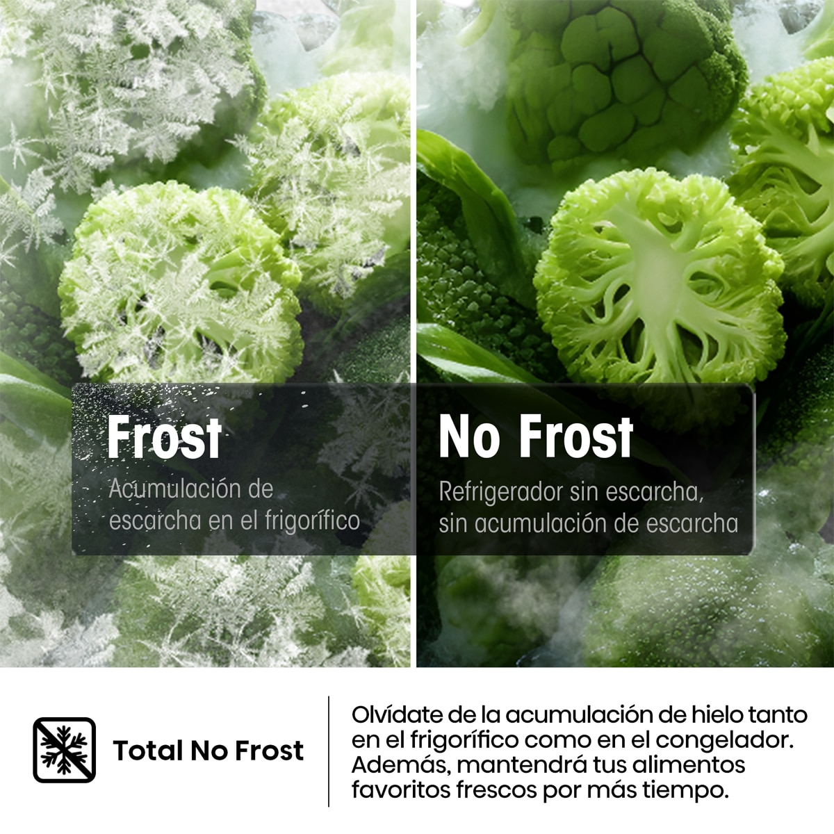 Frigorífico Combi Hisense , Total No Frost - RB5P410SACA Inox-8