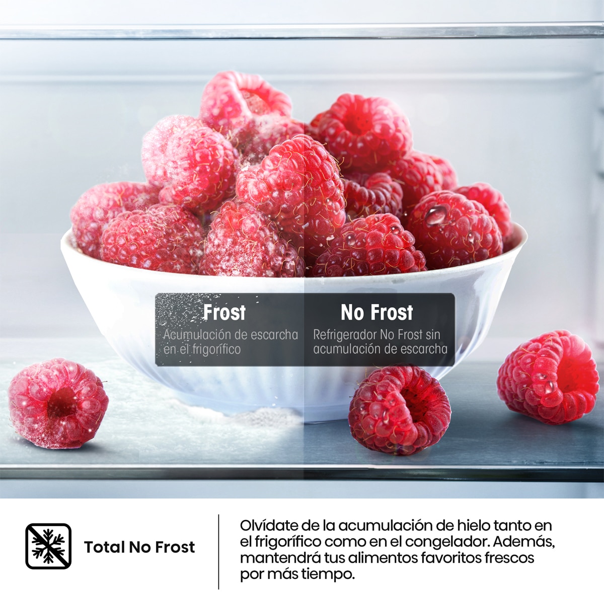 Frigorífico Combi Hisense, Total No Frost con Tecnología Inverter - RB440N4AWA Blanco-8