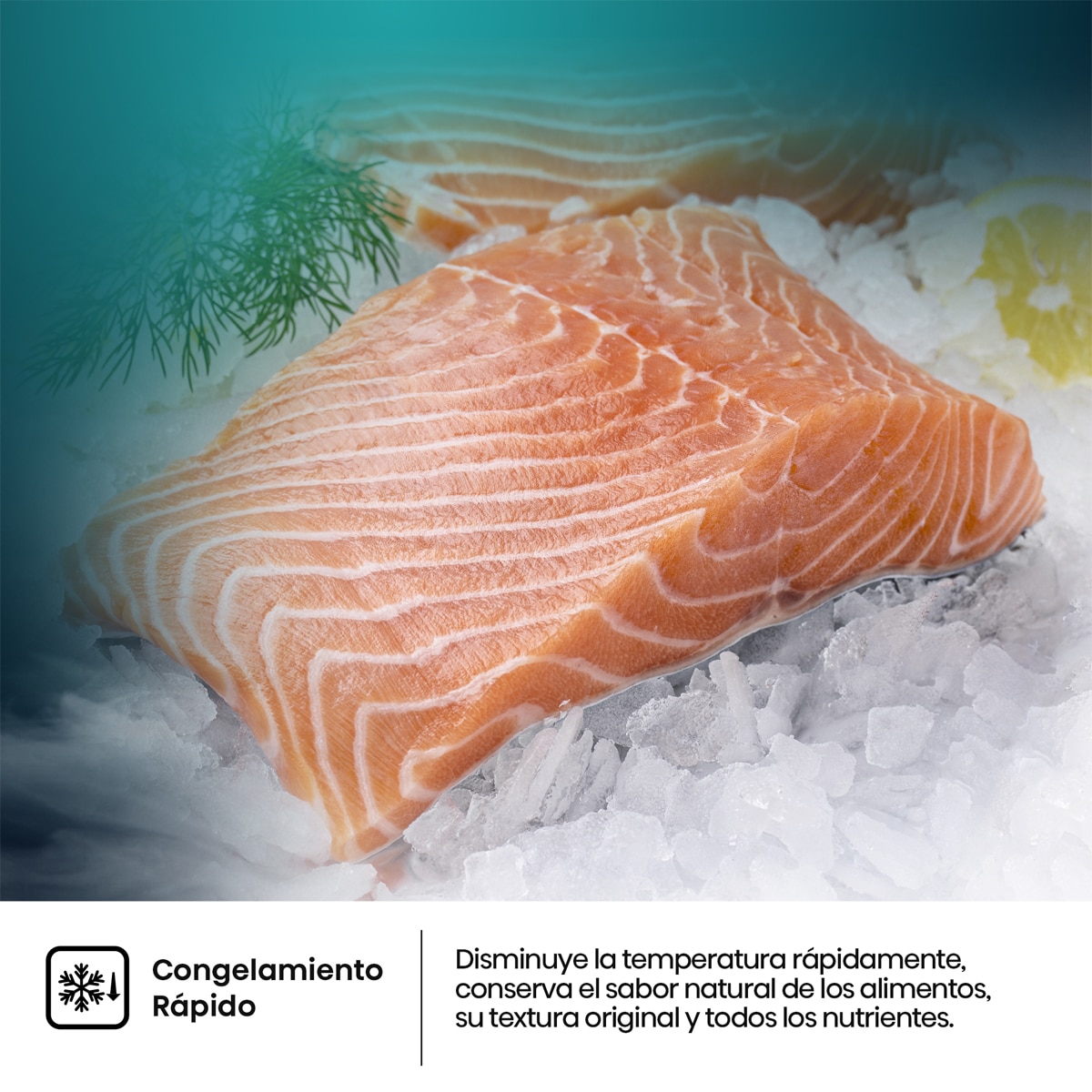 Frigorífico Combi Hisense, Total No Frost con Tecnología Inverter -RB3N300NECA Inox-10