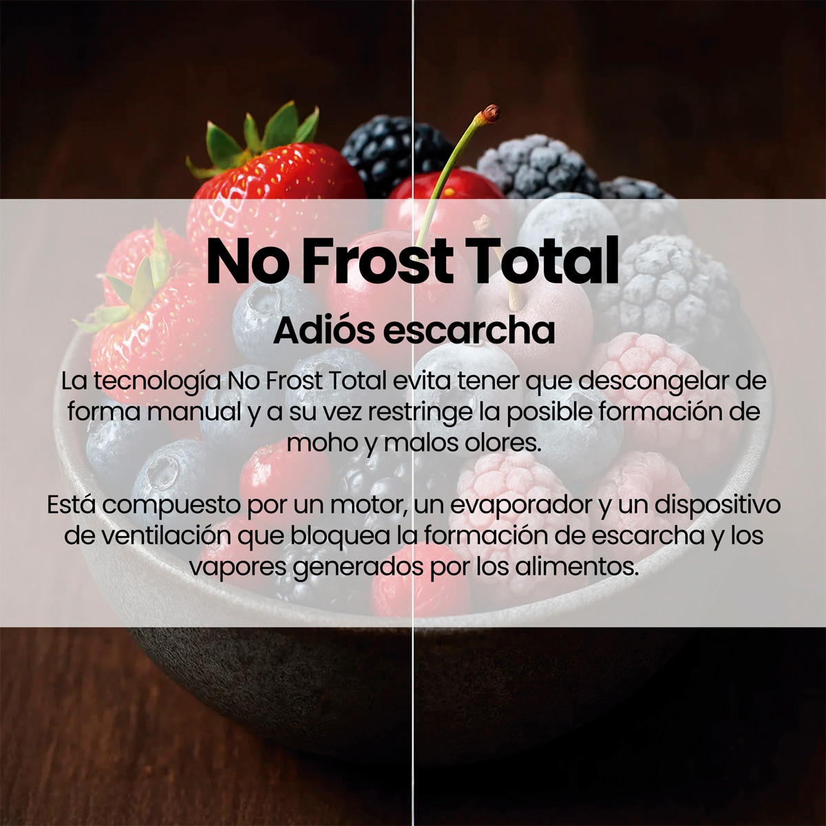 Frigorífico combi Infiniton Total No Frost, Inverter - FGC-322TC85DDK Dark inox-11