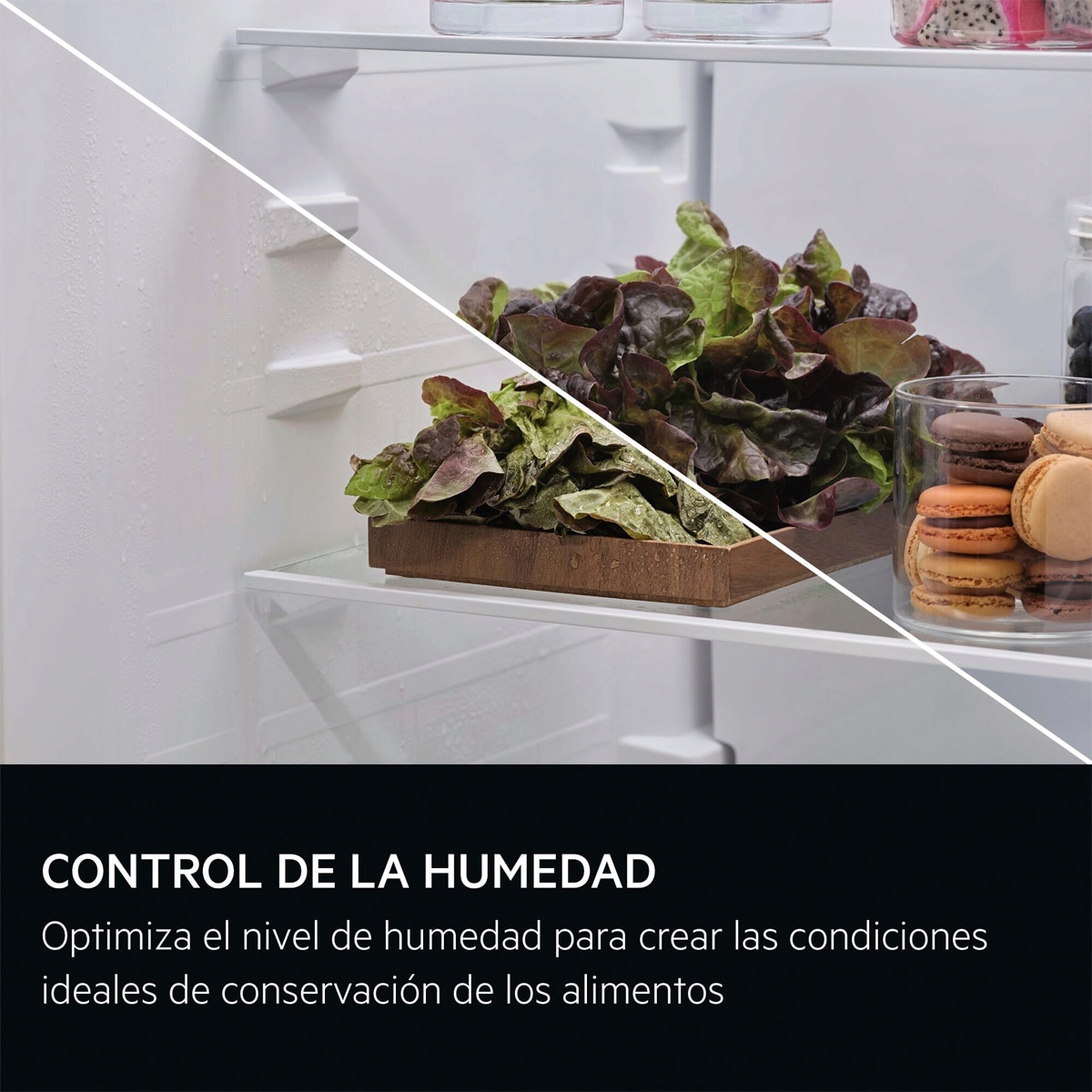 Frigorífico Combinado AEG Série 6000 ORC6M341DV No Frost com Multiflow e Controlo de Humidade Inox-6