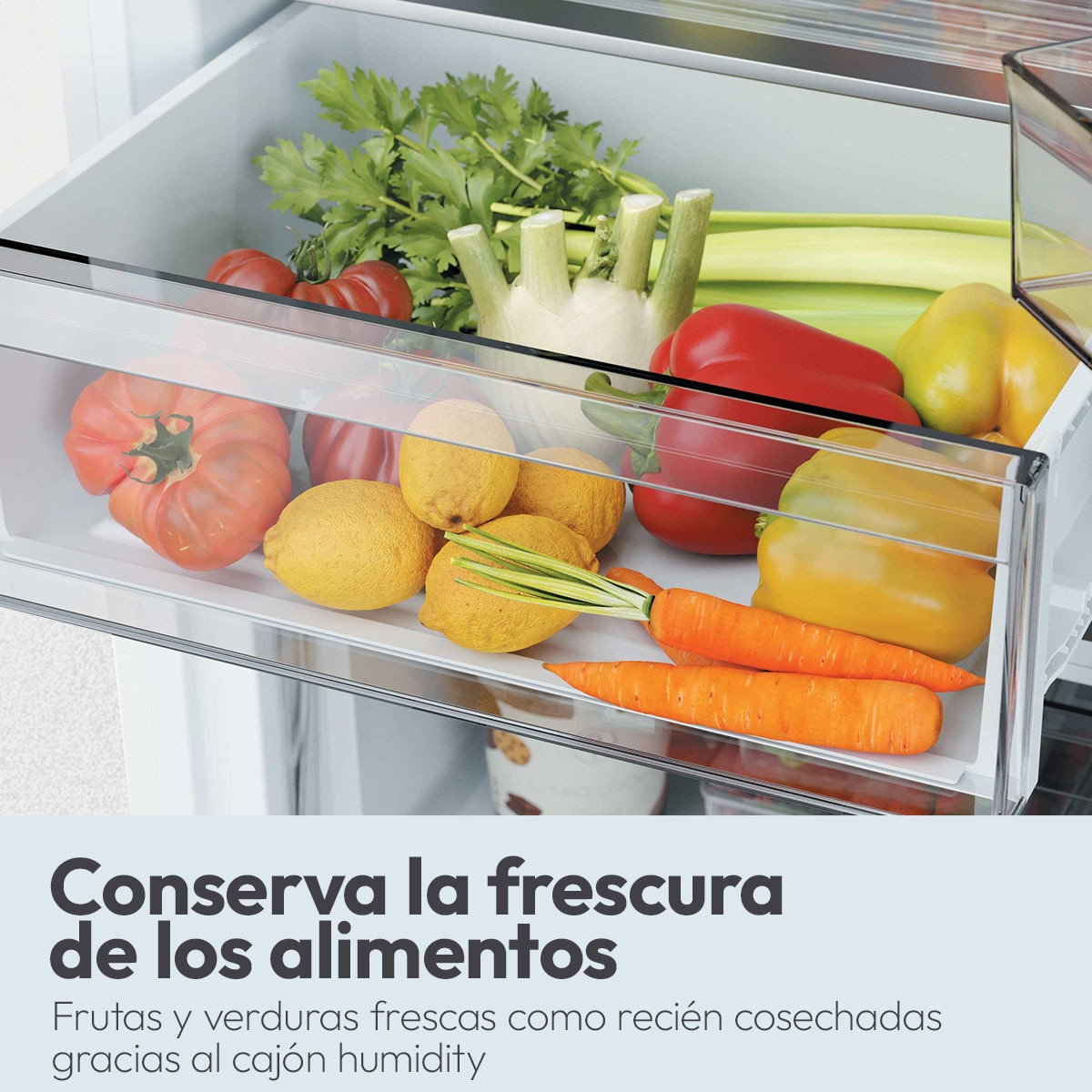 Frigorífico Combi Candy Space Fit Total No Frost Fresco Style - CNCQ2T6S18DW 11