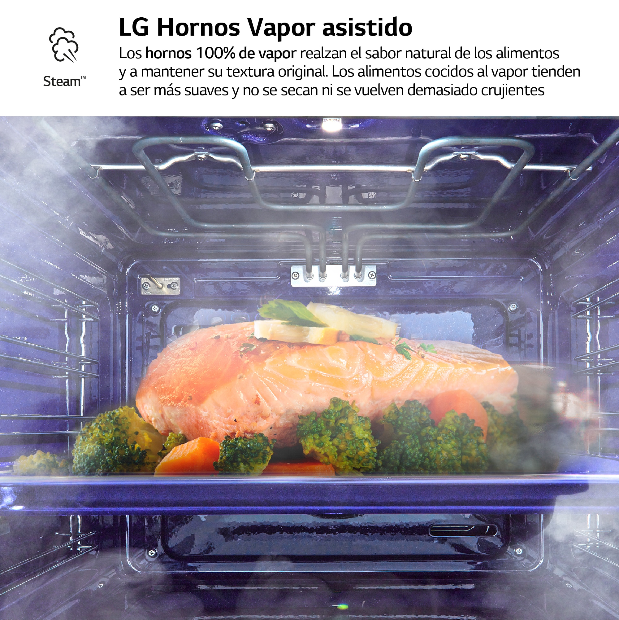 Horno vapor LG con sistema de limpieza Blue EasyClean, 76 l, display LCD táctil, ThinQ Wi-fi - WS9D7672WM Negro-9