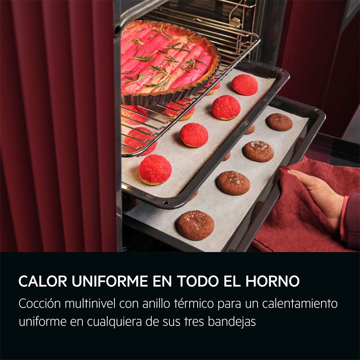 Horno multifunción AEG con 7 funciones - TU5AB20WSK Negro-6
