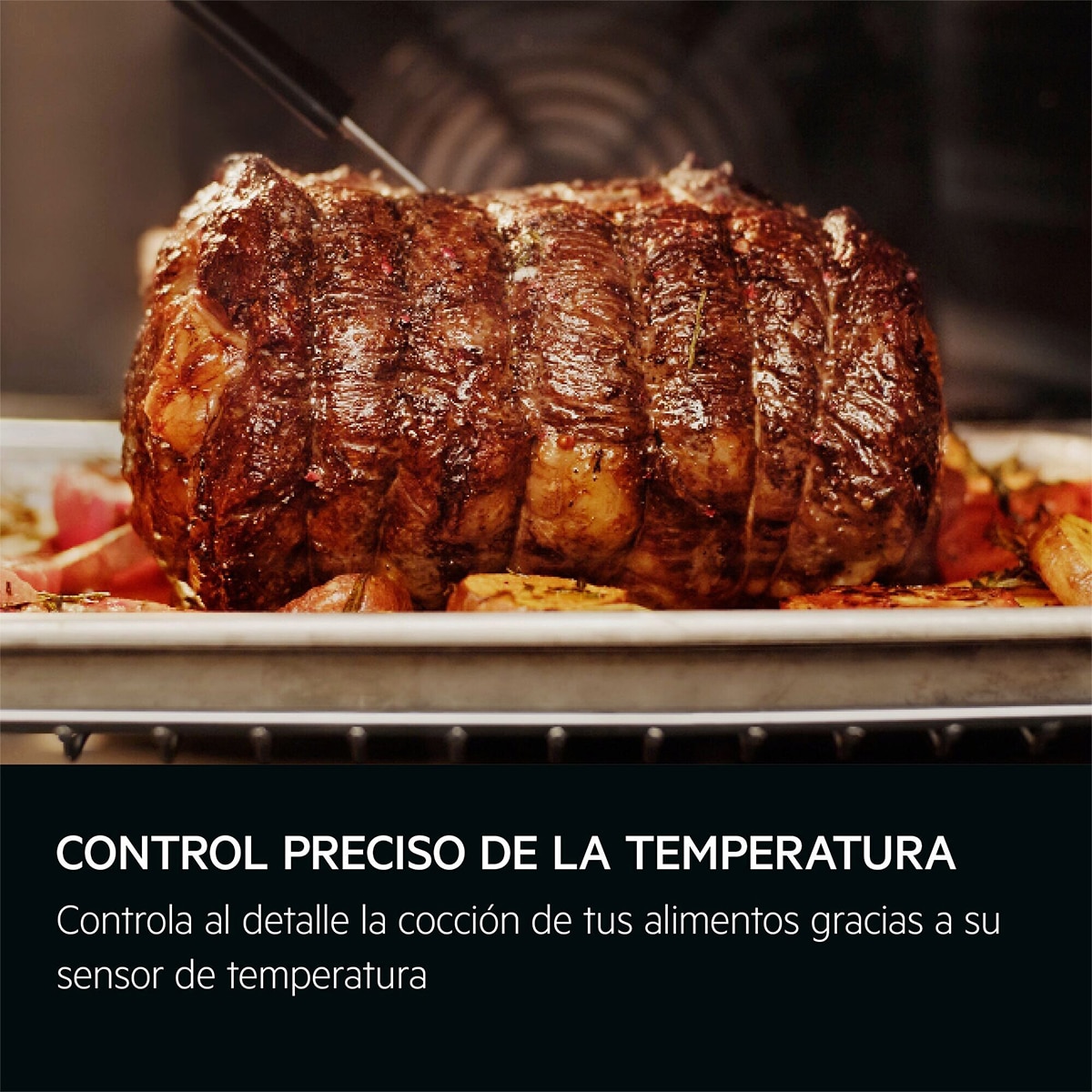 Horno multifunción AEG con 16 funciones - TE8PB731AB Negro-6