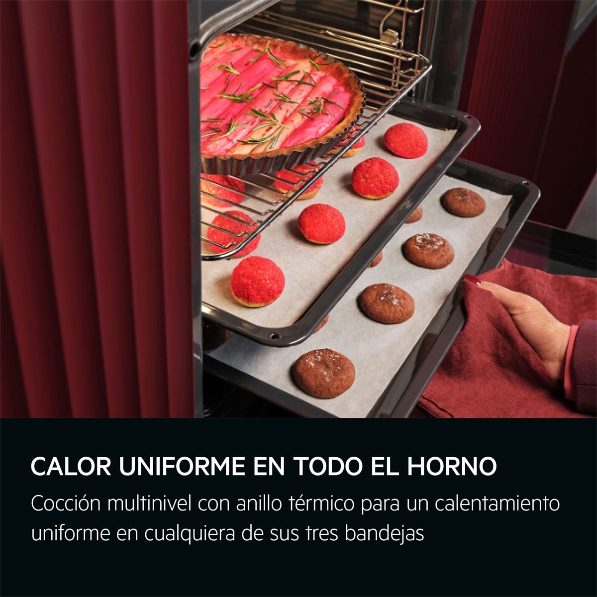 Horno multifunción AEG con 16 funciones - TE7PB63ZAB Negro-6
