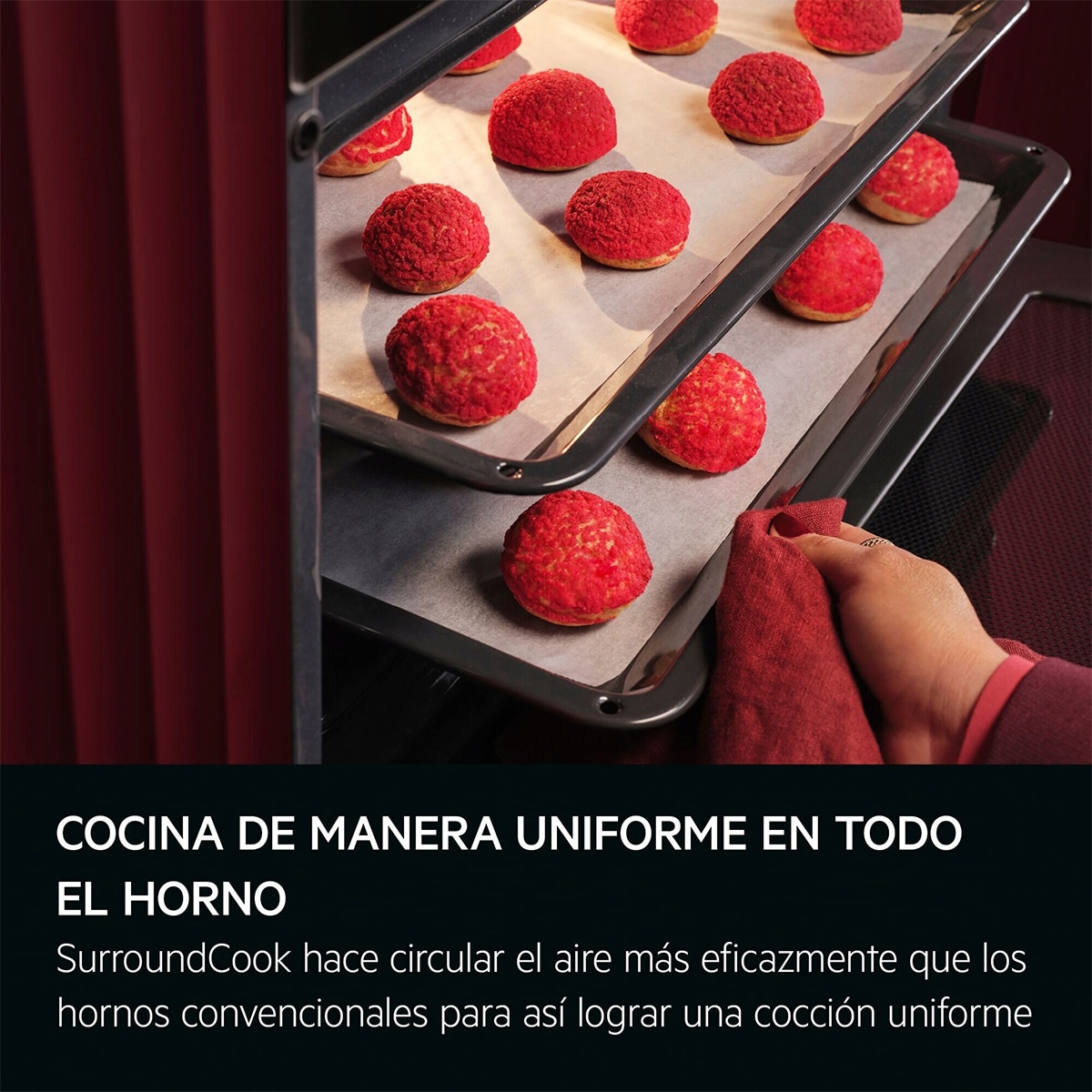 Horno multifunción AEG con 9 funciones - TU5PB43SM Inox antihuellas-6