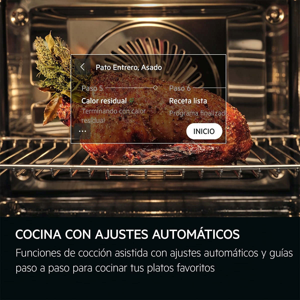 Horno multifunción AEG con 22 funciones - TR7PB73FSB Negro-8