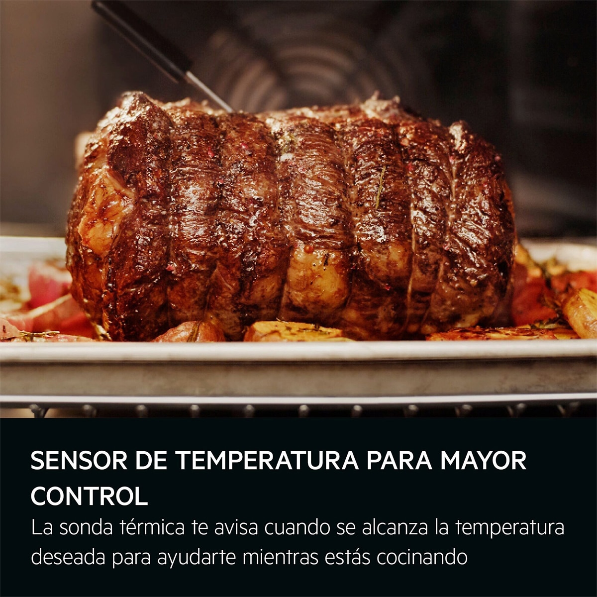 Imagen adicional del producto
