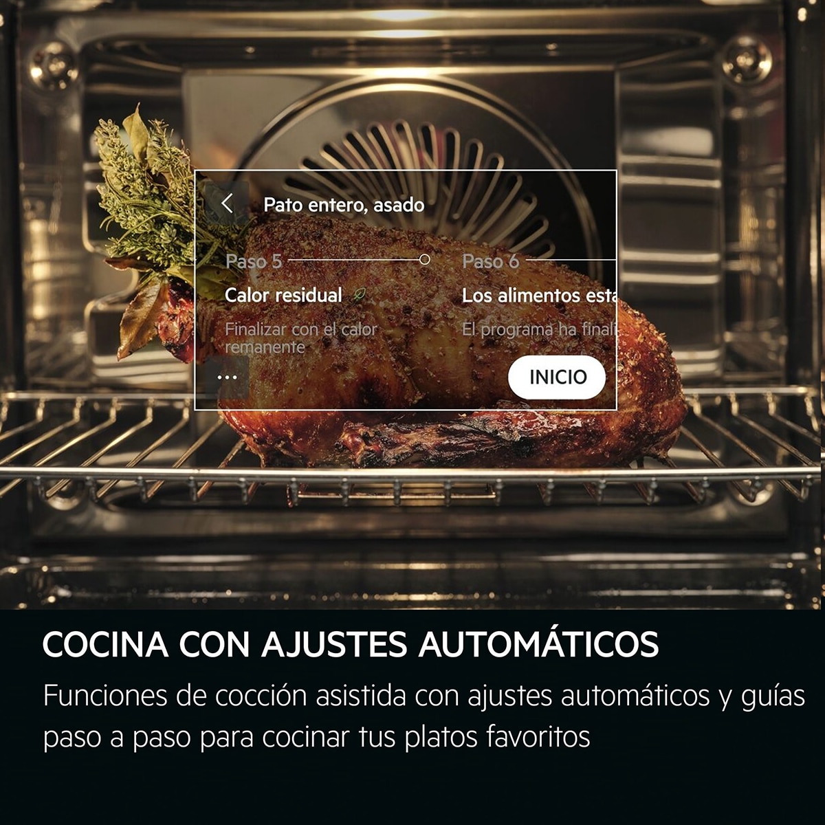 Horno multifunción AEG con 25 funciones - TB8SB73ZAB Negro-10