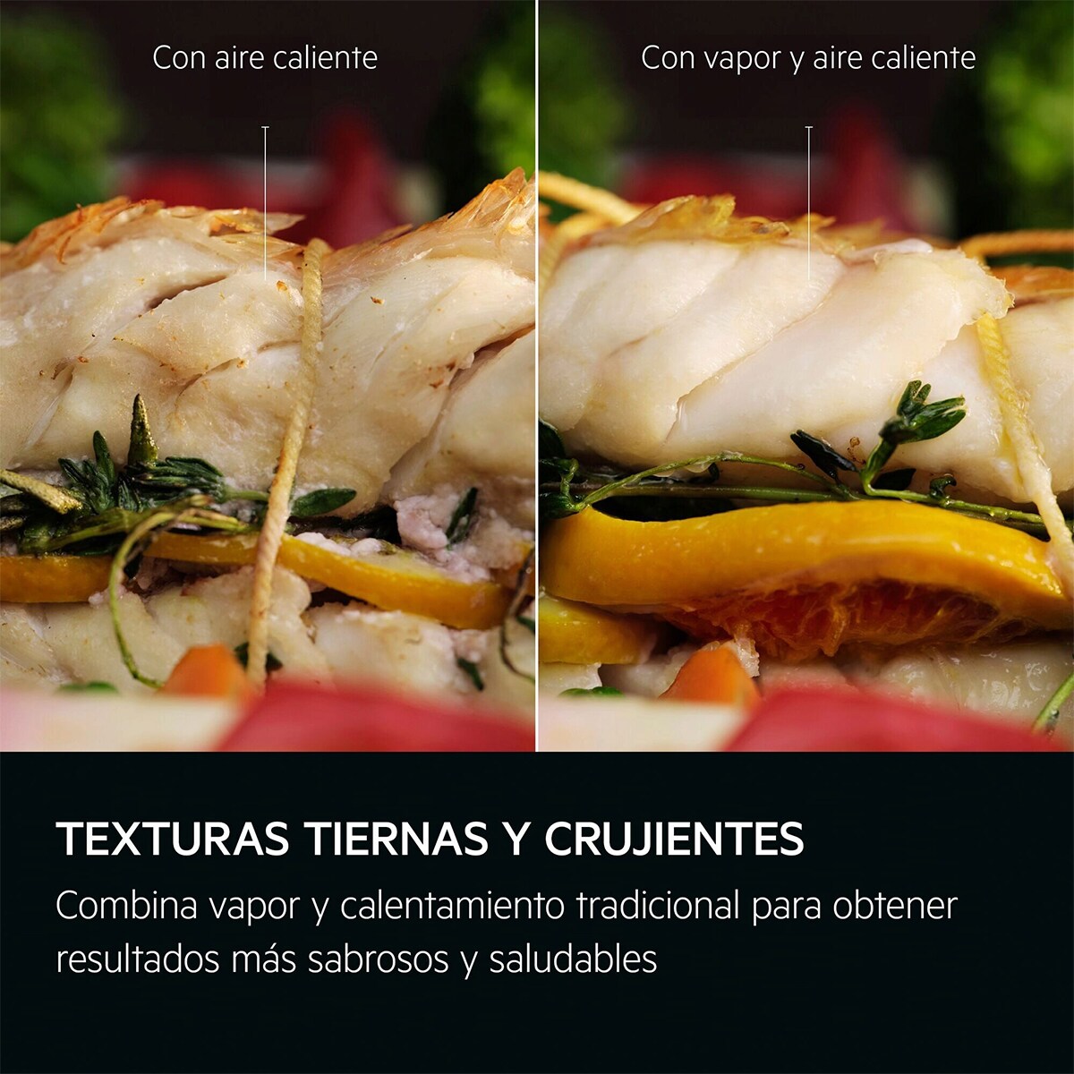 Horno multifunción AEG con 19 funciones - GR6PB53FSB Negro-7