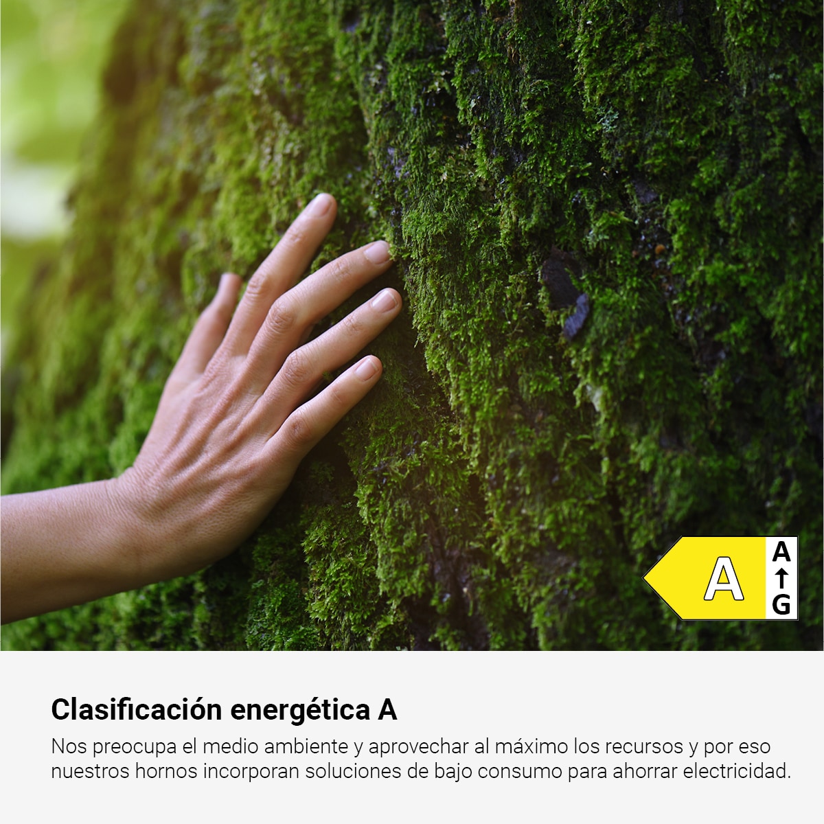 Horno multifunción Fagor de 77 litros Classic - 9H-115BB Blanco-8