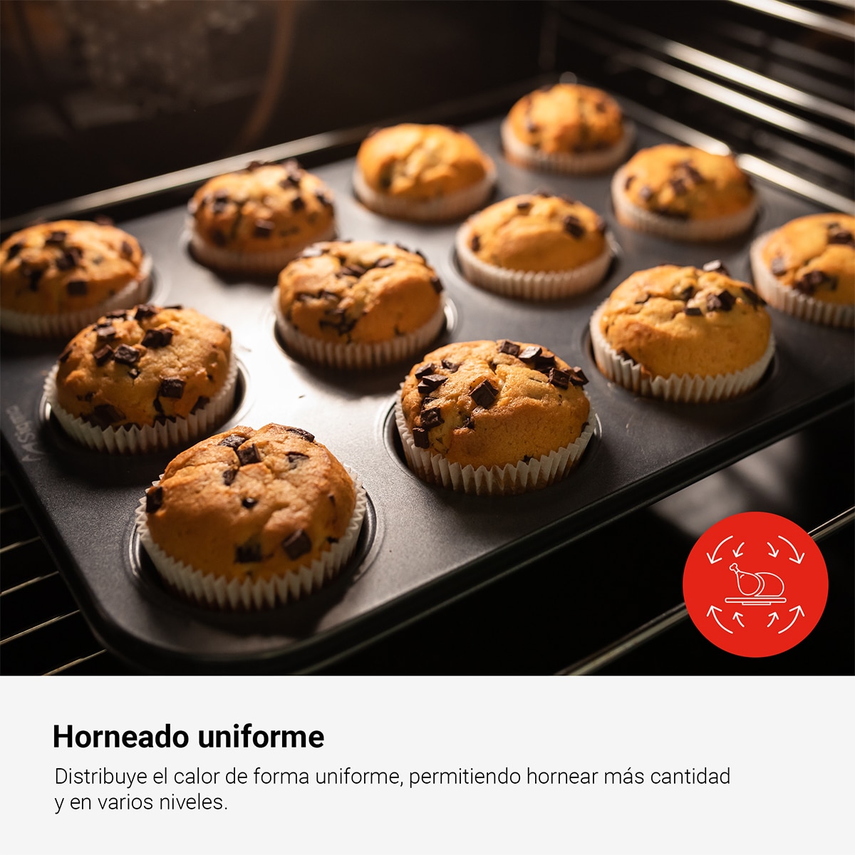 Horno multifunción Fagor de 77 litros Classic - 9H-115BX - Inox Inox-7