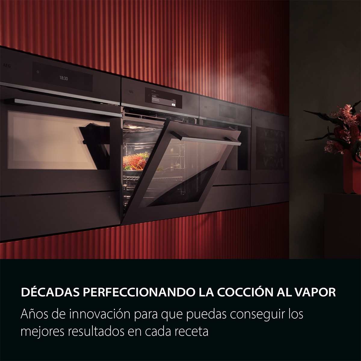 Horno AEG Vapor Pirolítico Sonda Térmica Resultados Jugosos Inox Antihuellas S6000 OR6PB51WSB Negro-21