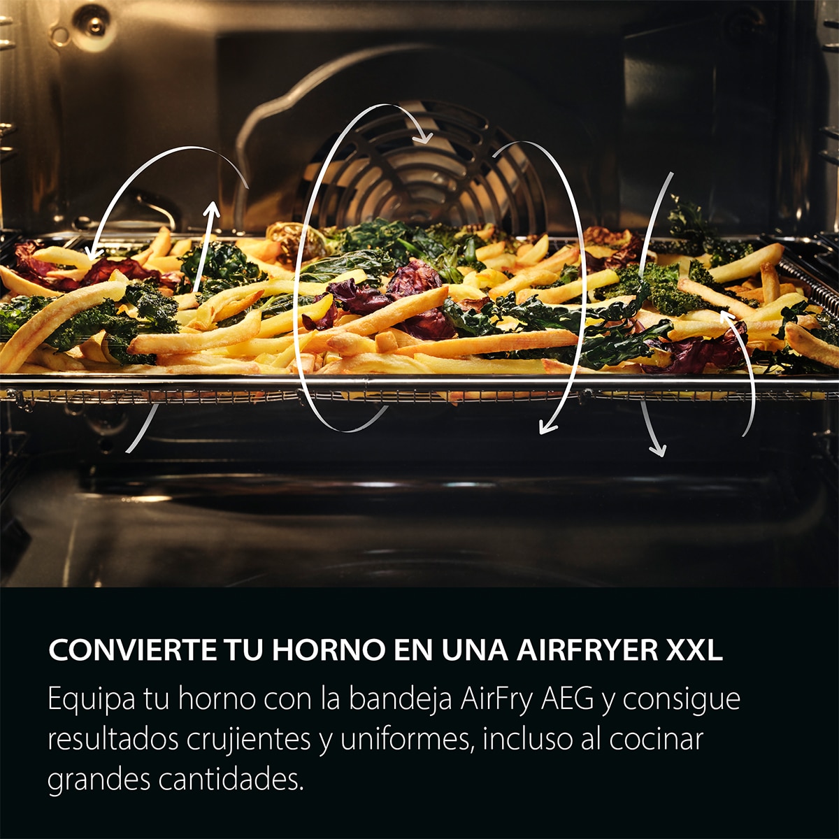 Horno AEG Vapor Pirolítico Sonda Térmica Resultados Jugosos Inox Antihuellas S6000 OR6PB51WSB Negro-23