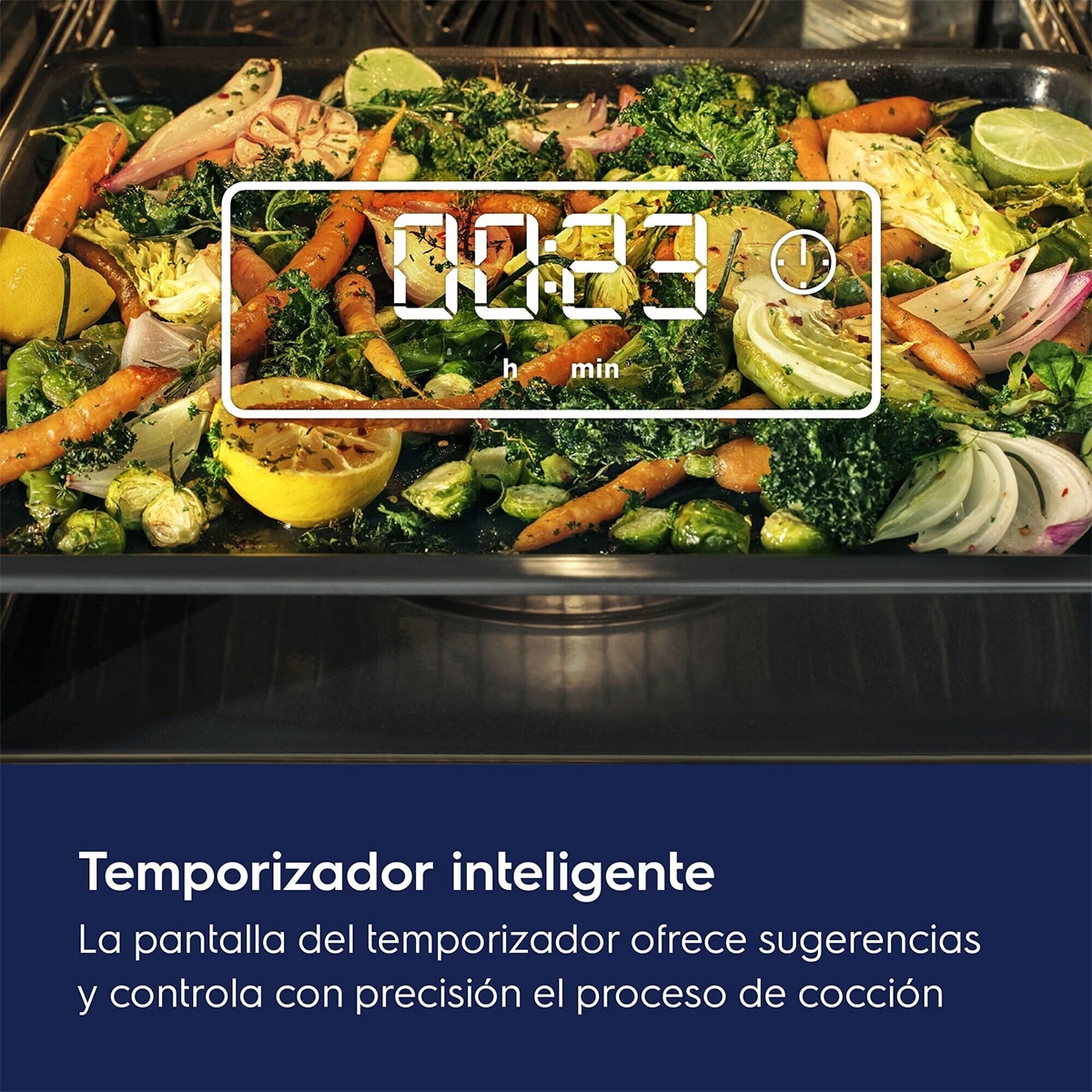 Horno multifunción Electrolux con limpieza AquaClean - EOH3H54X Inox antihuellas-6