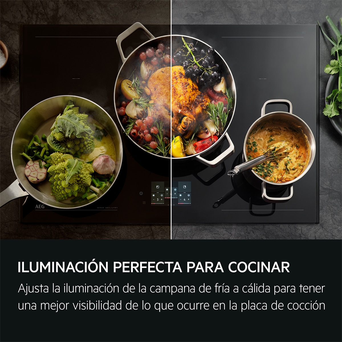 Campana de techo AEG Serie 7000 SilenceTech - NDC7792SM Inox-9