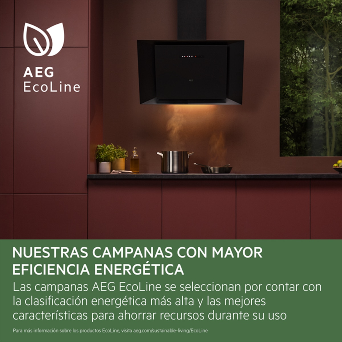Campana de techo AEG Serie 7000 SilenceTech - NDC7792SM Inox-10