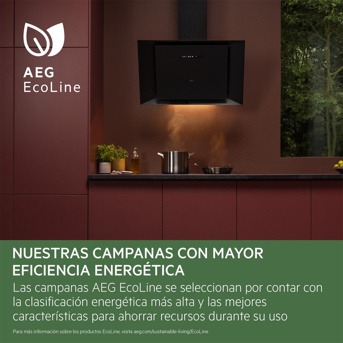 Camapan decorativa AEG, 90cm, SilenceTech, Función Brisa - GV77D91SZ Negro mate-13