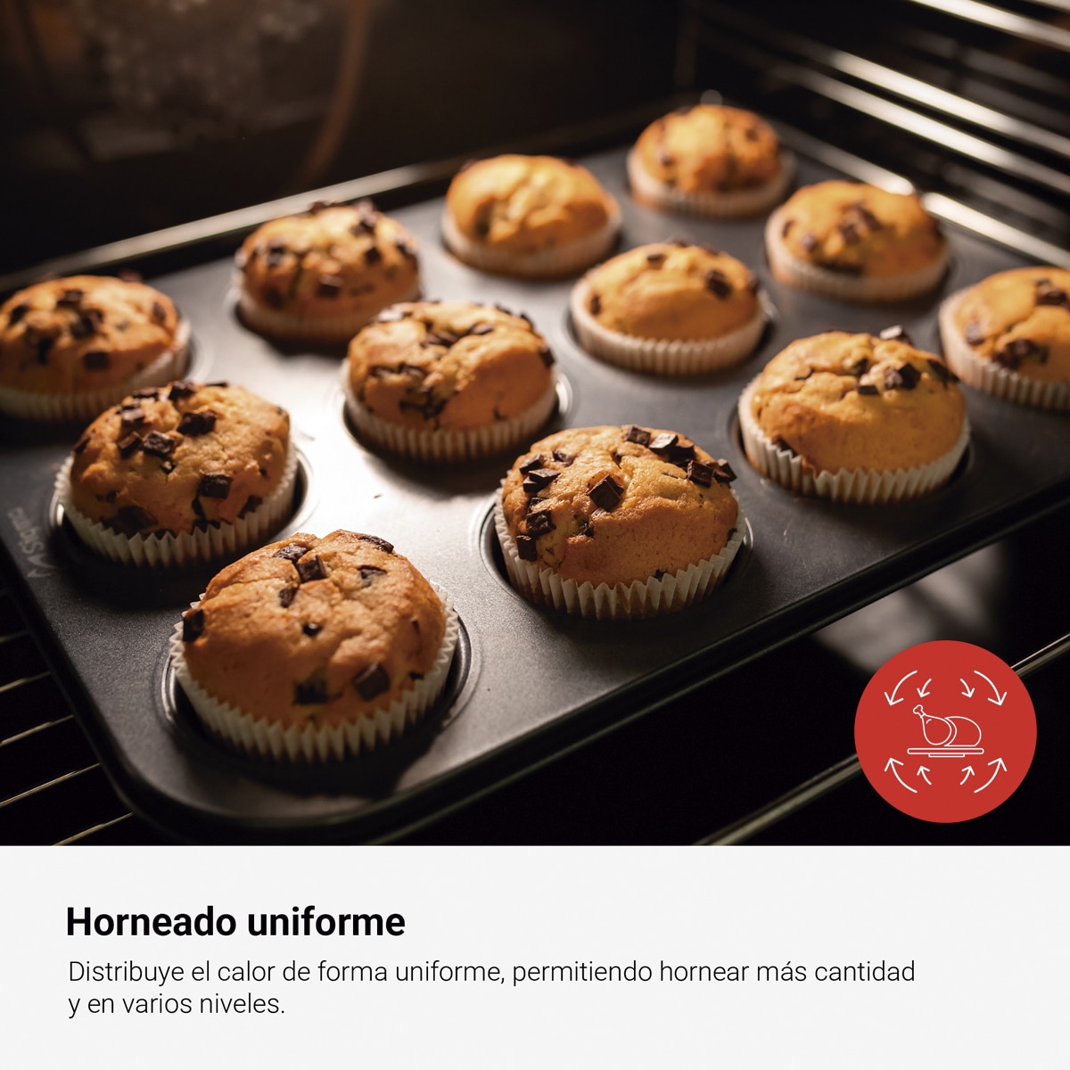 Cocina compacta Fagor con placa vitroceramica y horno eléctrico Classic - 3CLV-500BB Blanco-10