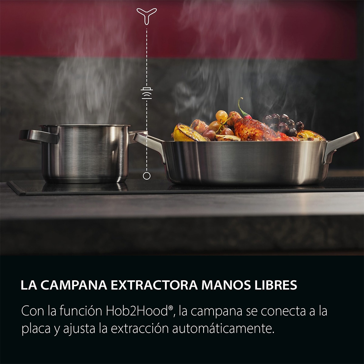 Imagen adicional del producto