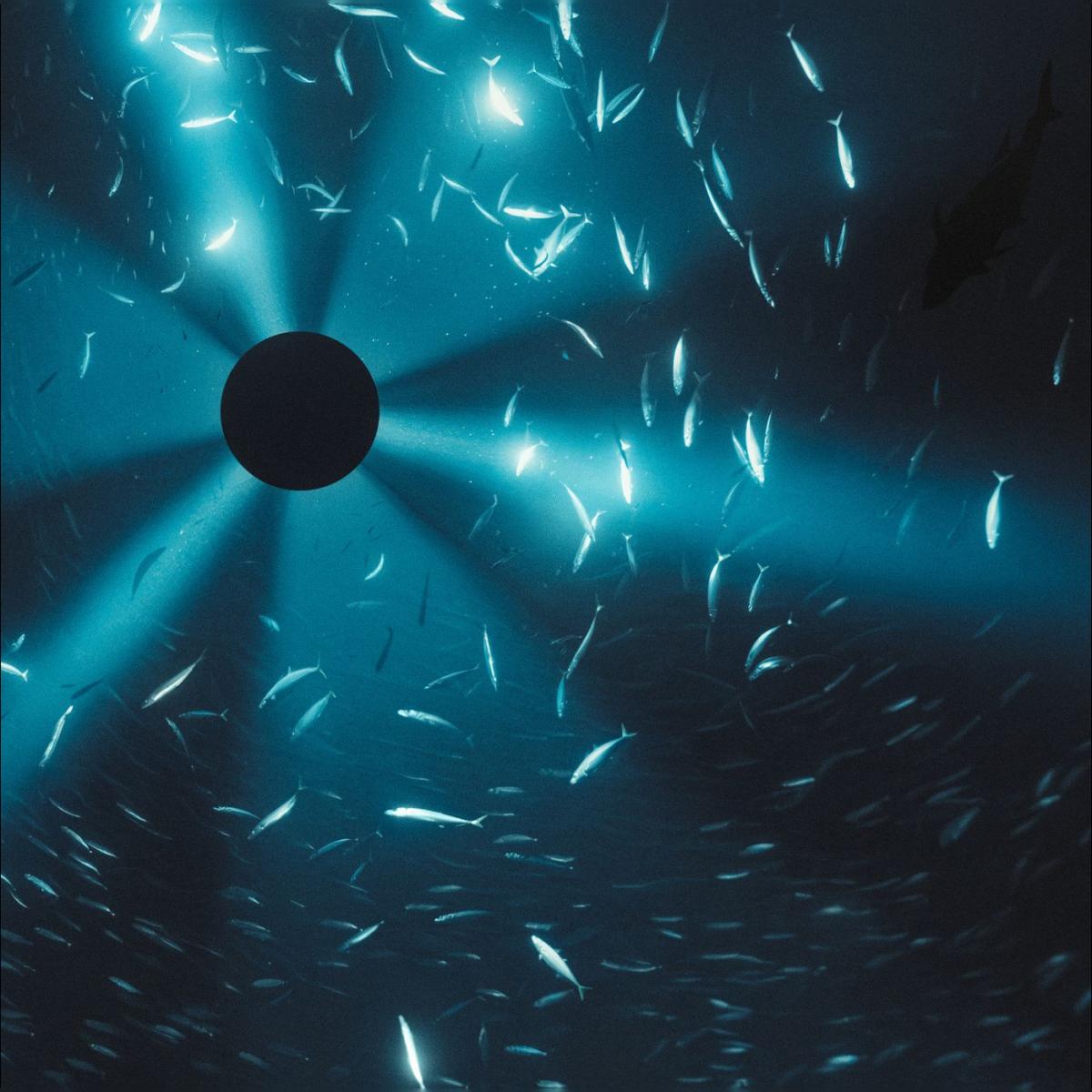 Imagen 0 de Midnight Zone (B.S.O) (CD)