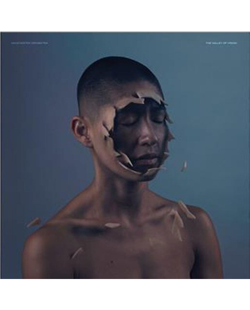 Valley Of Vision (LP) 1