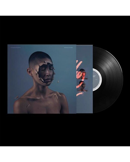 Valley Of Vision (LP) 2