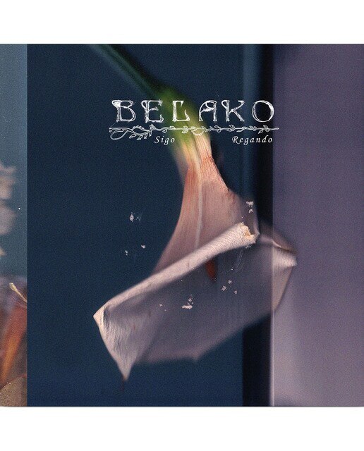 Imagem 0 de Sigo Regando (Edición Limitada Color) (LP-Vinil)