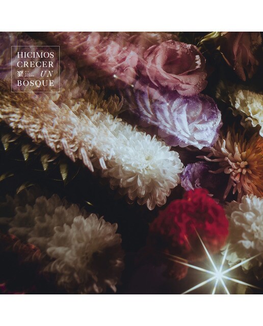 Hicimos Crecer Un Bosque (LP-Vinilo) 2