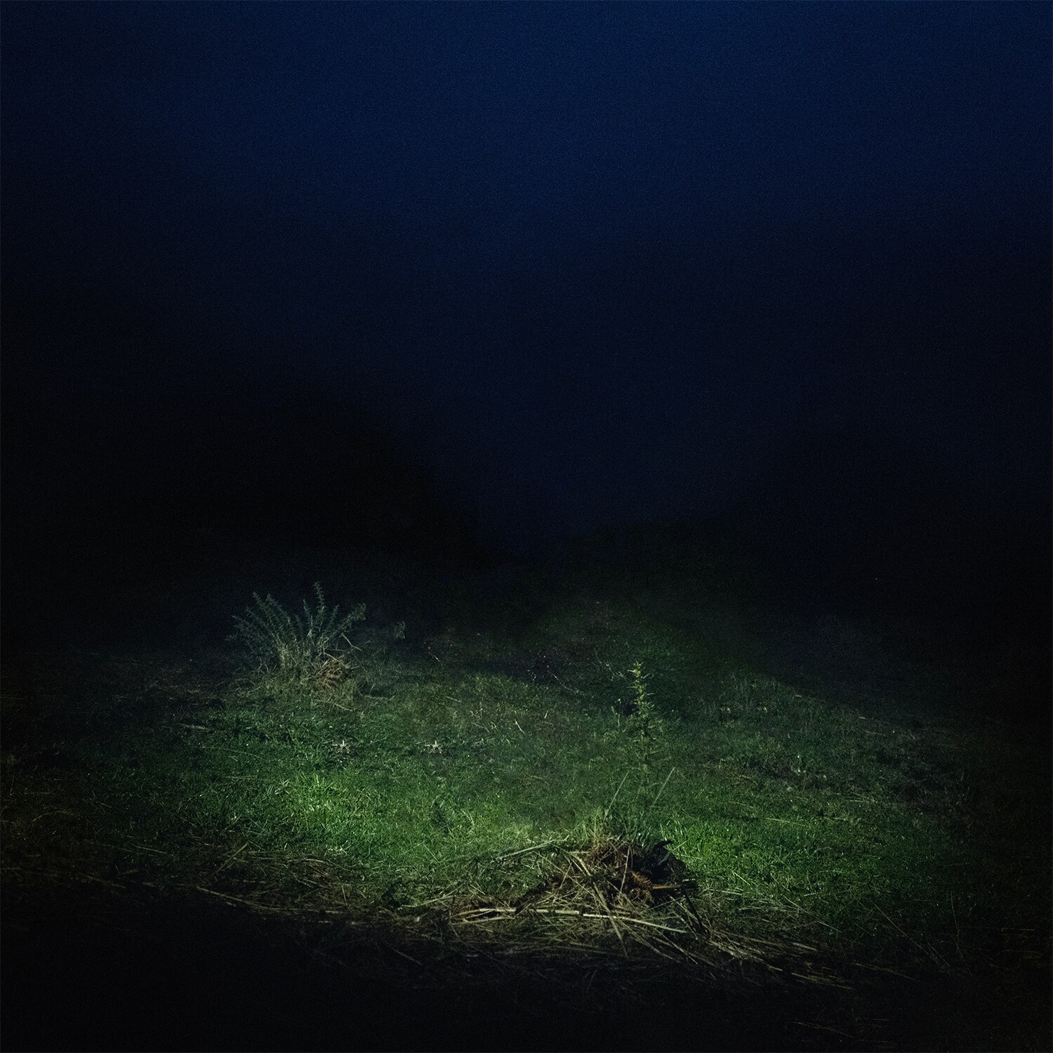 PO2054AZ (Vol.II) (Edición Color) (2 LP-Vinilo) Gris-4
