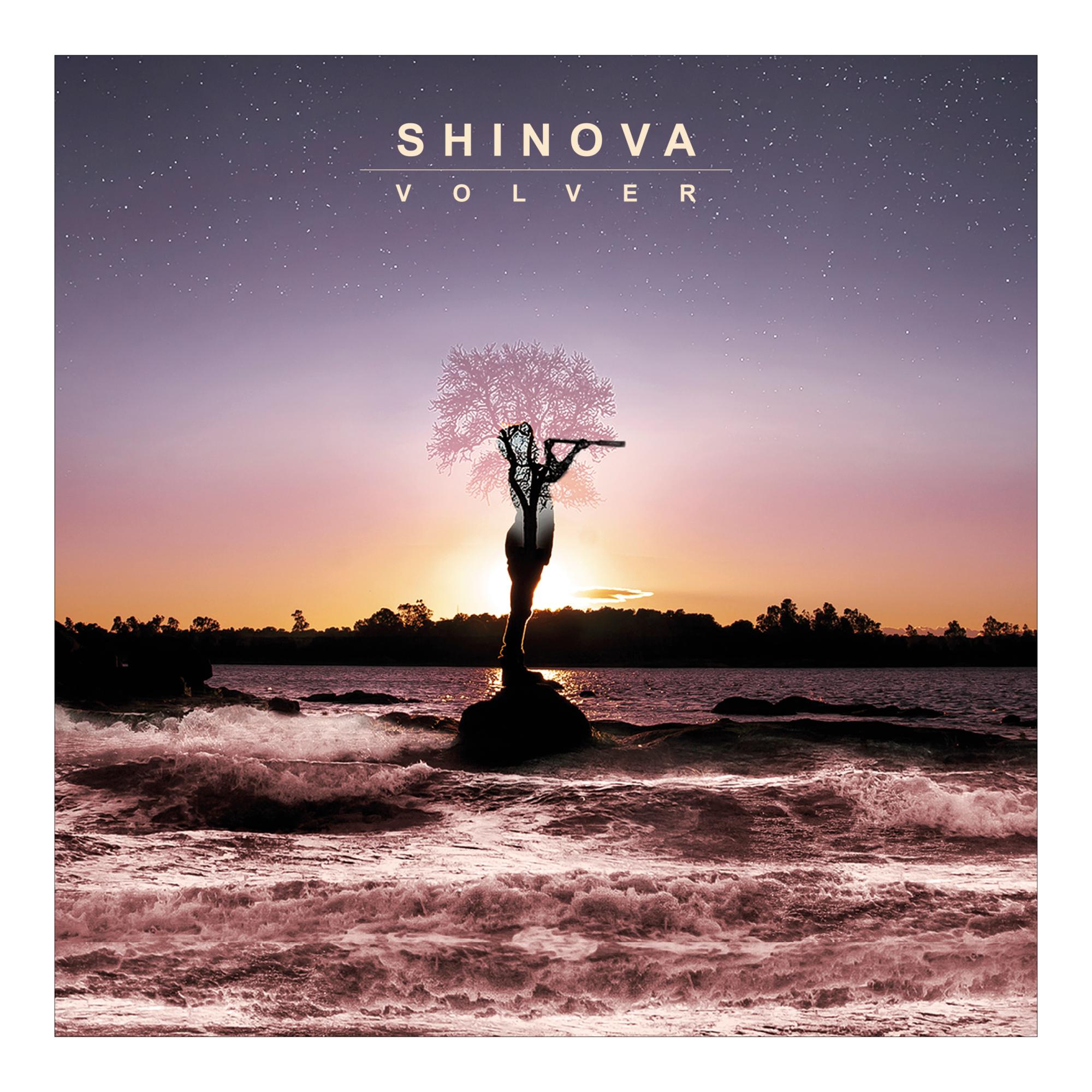 Volver (10 Aniversario) (Edición Color) (LP-Vinilo) Multicolor-2
