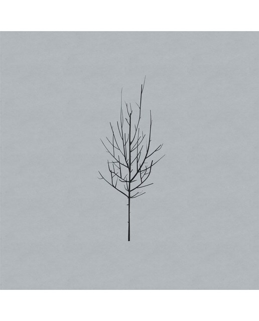 Ones and Sixes (LP-Vinilo) 1
