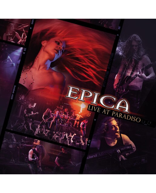 Imagem 0 de Live at paradiso (11 LP-Vinil)