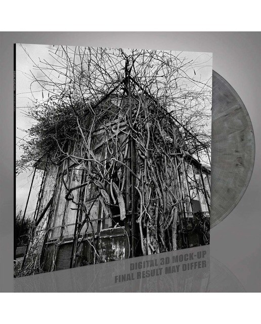 Dead Decades (Edição Color) (LP-Vinil) Cinzento-2