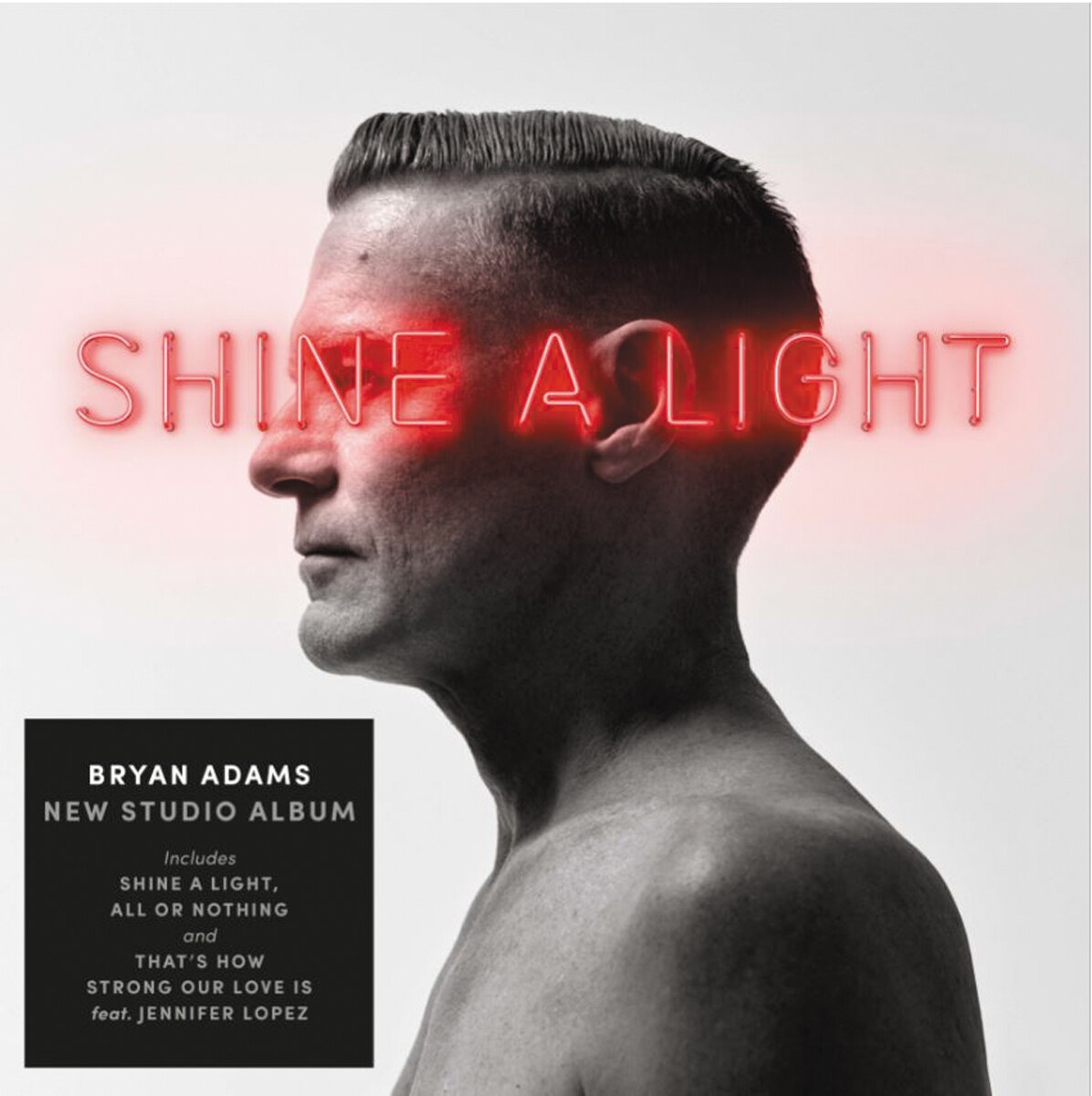 Imagem 0 de Shine A Light (LP-Vinil)