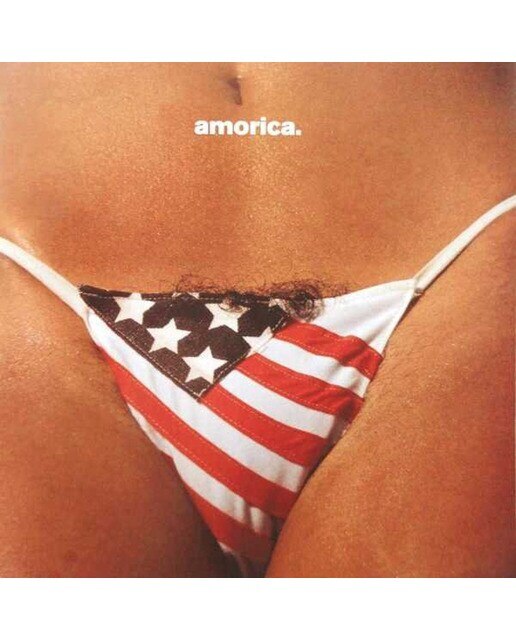 Imagem 0 de Amorica (LP-Vinil)