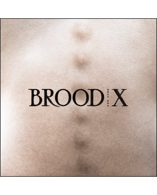 Imagem 0 de Brood X (LP-Vinil)