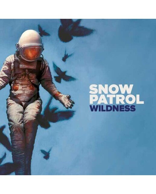 Imagem 0 de Wildness (LP-Vinil)