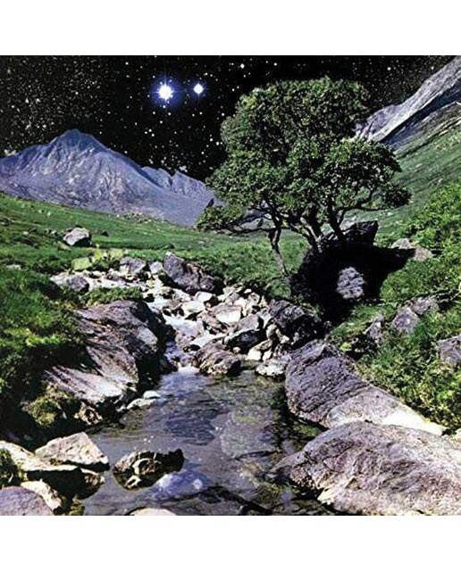 Imagem 0 de The Beta Band (Edição Super Deluxe) (2 CD + 3 LP-Vinil)