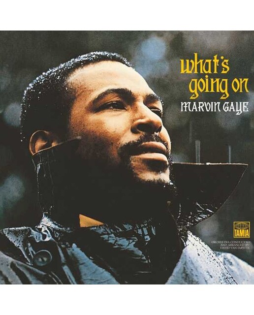 Imagem 0 de What's Going On (LP-Vinil)