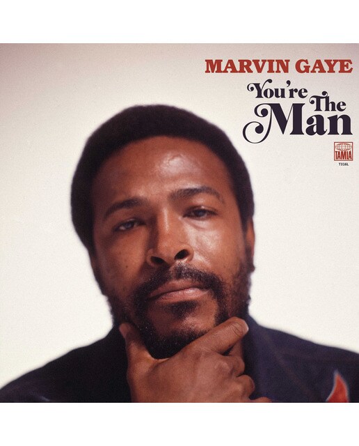 Imagem 0 de You're The Man (2 LP-Vinil)