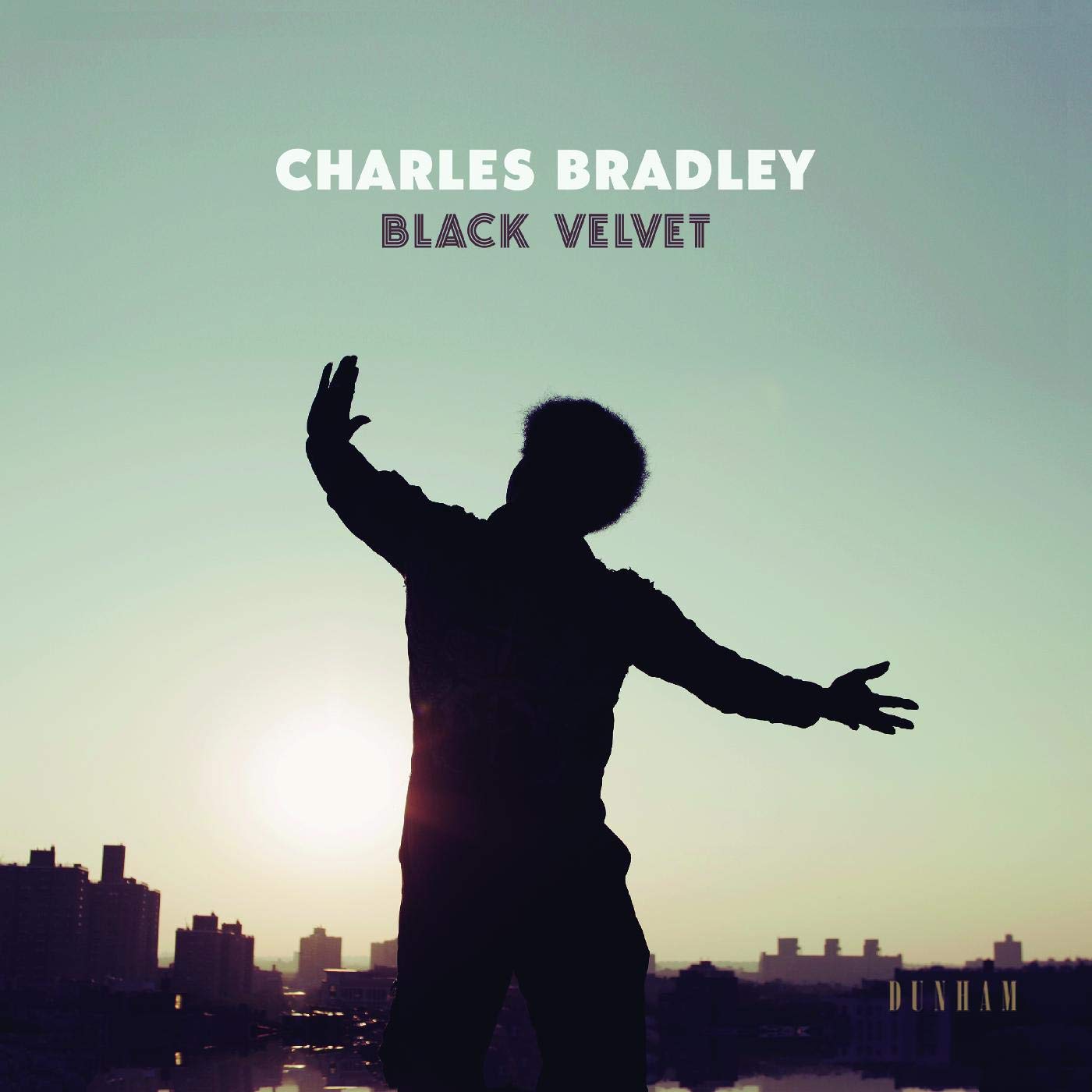 Black velvet (LP-Vinilo)