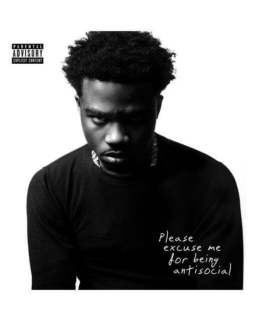 Please Excuse Me For Being Antisocial (2 LP-Vinil) 1