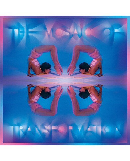 Imagem 0 de The Mosaic Of Transformation (LP-Vinil)