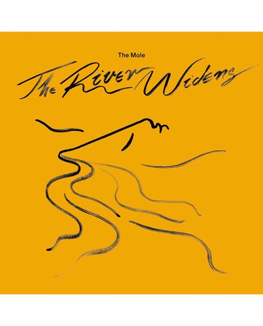 Imagem 0 de The river widens (2 LP-Vinil)